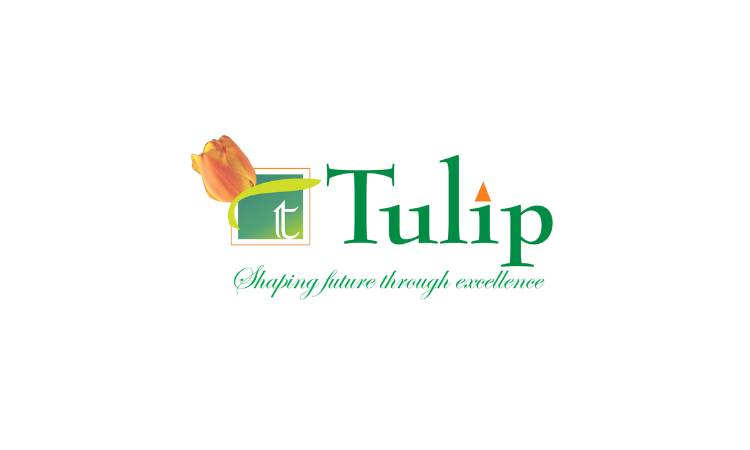 Tulip